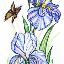 Схема вышивки «ирисы»