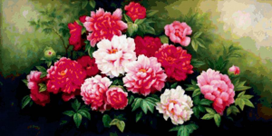 Натюрморт, цветы, розы - цветы, натюрморт, розы - предпросмотр