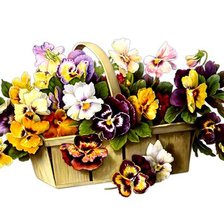 Схема вышивки «корзинка с анютками.»