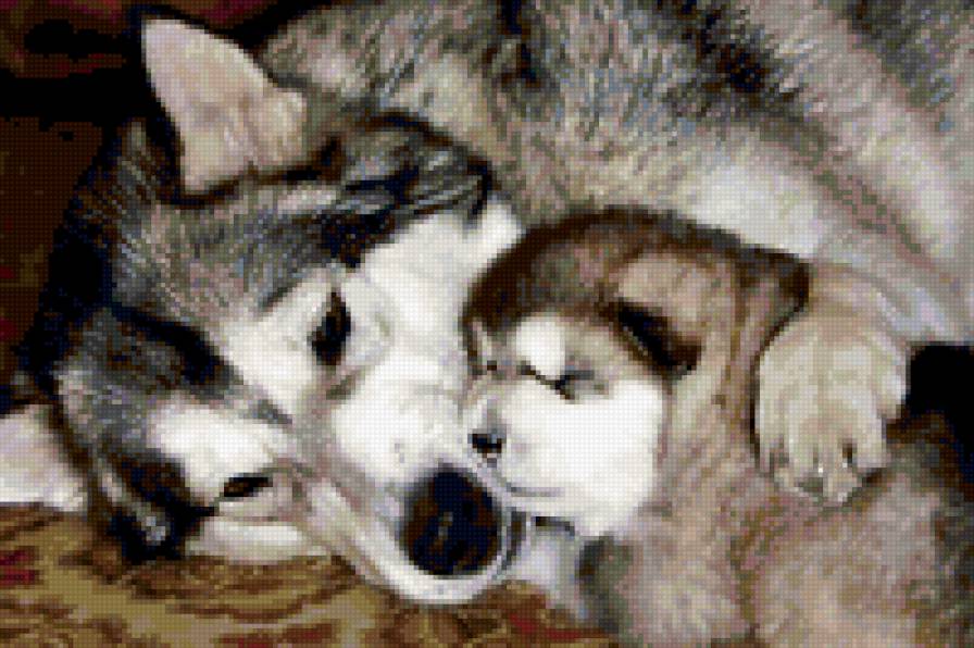 хорошо с мамой - собачки - предпросмотр