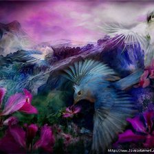 Схема вышивки «Синяя птица.»