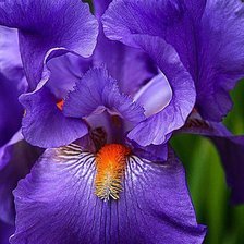 Схема вышивки «цветок»