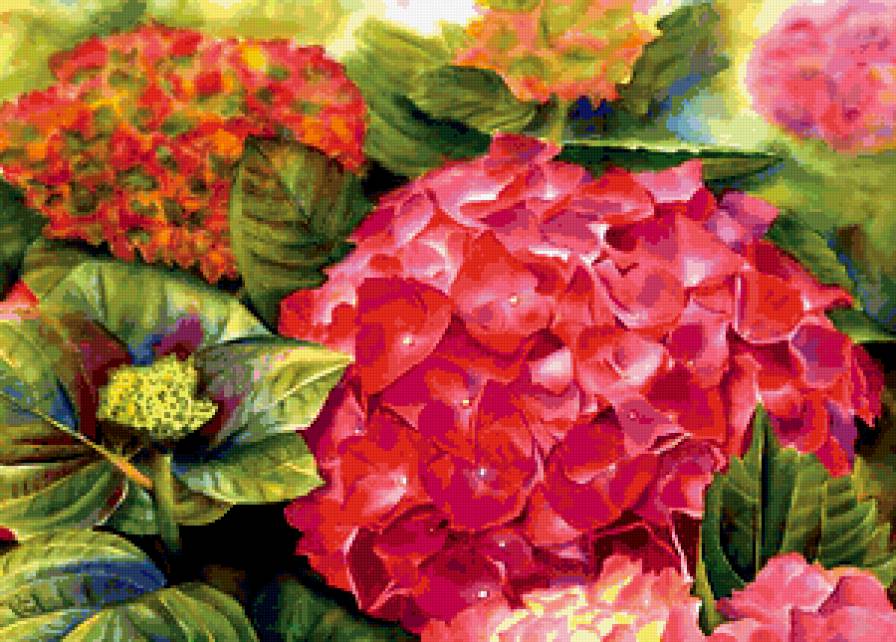 Серия "Букет" - букет, гортензии, цветы - предпросмотр