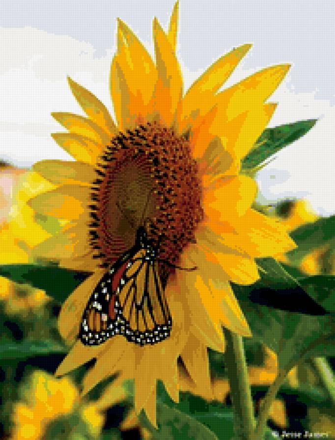 №395176 - предпросмотр