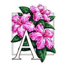 Схема вышивки «цветы»