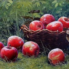 Схема вышивки «Яблоки»