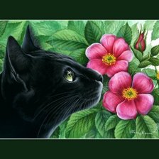 Кошки И. Гармашовой