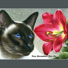 Схема вышивки «Кошки И. Гармашовой»