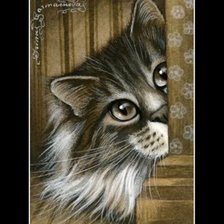 кошки Гармашовой