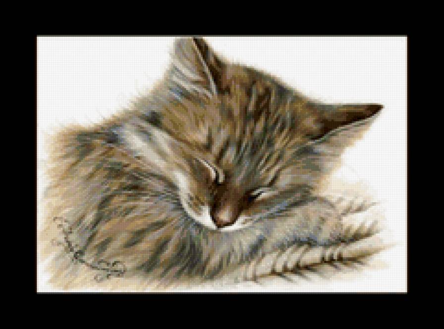 Кошки И, Гармашовой - кот - предпросмотр