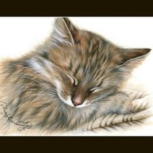 Кошки И, Гармашовой