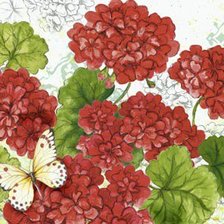 Схема вышивки «Герань и бабочки»