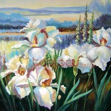 Схема вышивки «irisı»