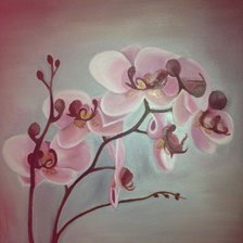 Схема вышивки «orhideya»