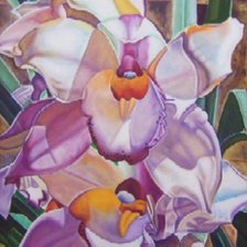 Схема вышивки «orhideya»