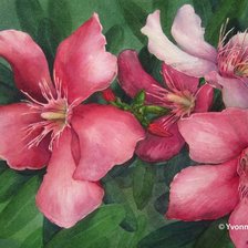 Схема вышивки «goblen»