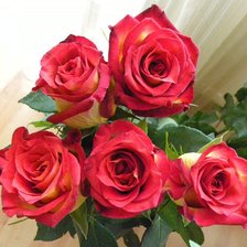 Схема вышивки «розы»