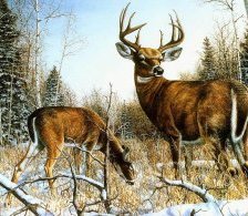 Схема вышивки «олени в лесу»