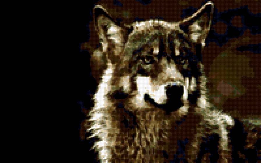 волк1 - волк - предпросмотр