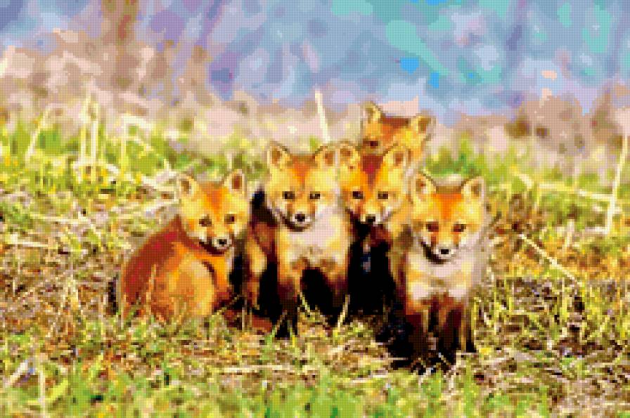 лисята - животные, лиса - предпросмотр