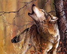 Схема вышивки «волчий зов»