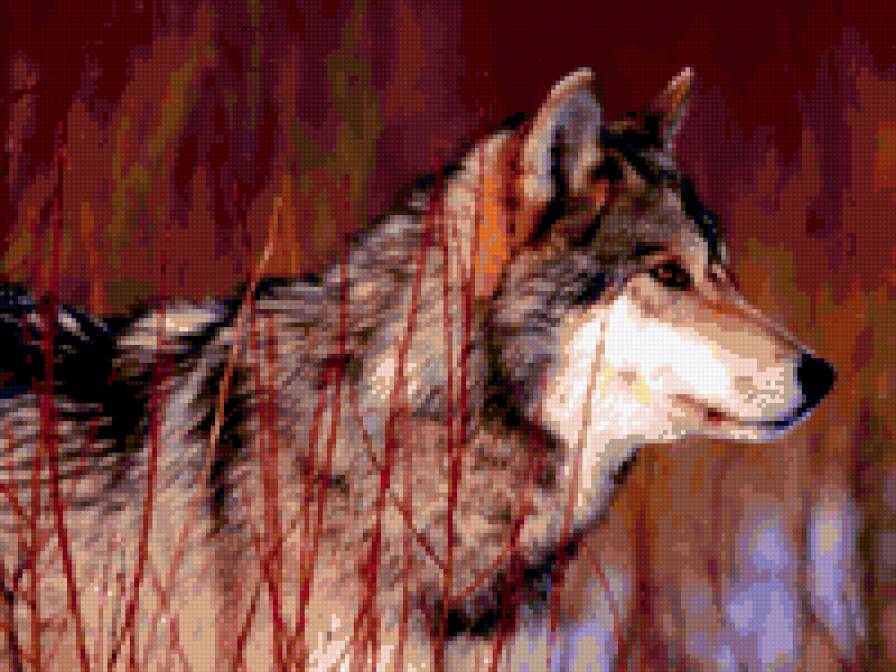 волк канадский - природа, животные, волк - предпросмотр