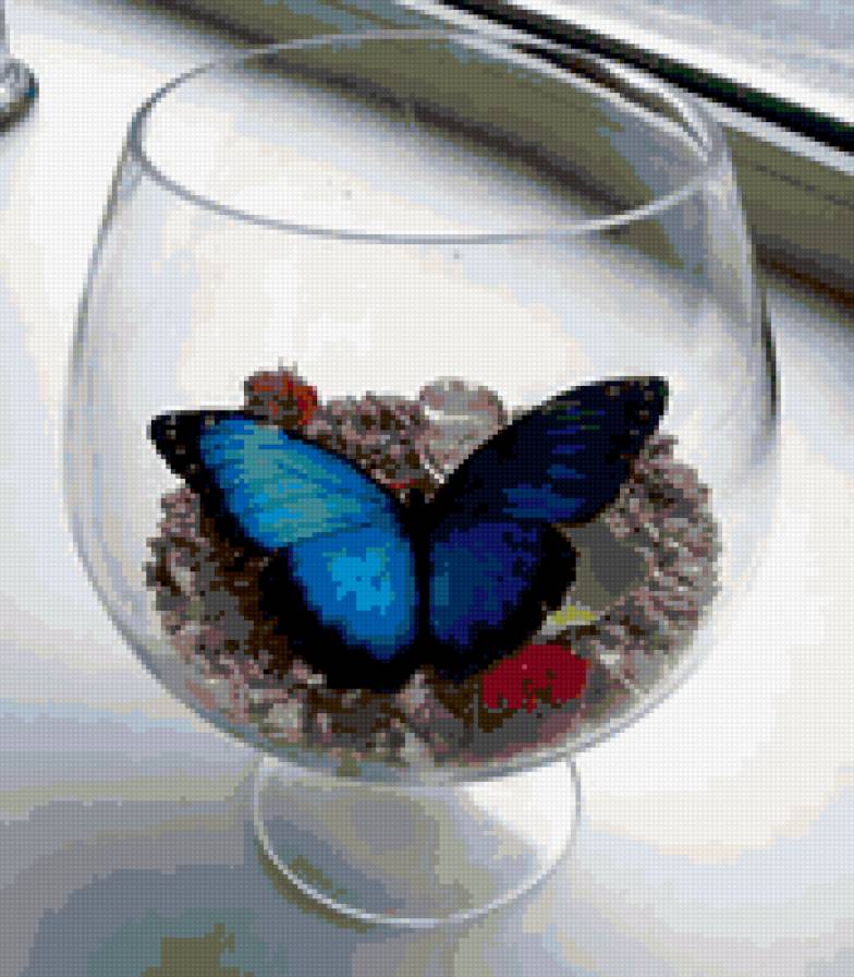 бабочка в бокале - насекомые - предпросмотр