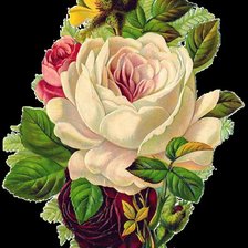 Схема вышивки «розы»