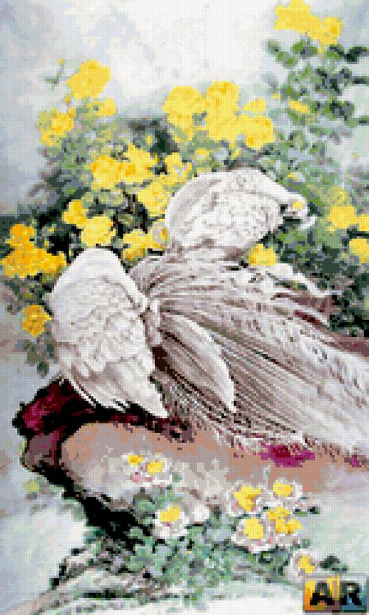 белый павлин - цветы, павлин, птица - предпросмотр