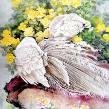 Схема вышивки «белый павлин»