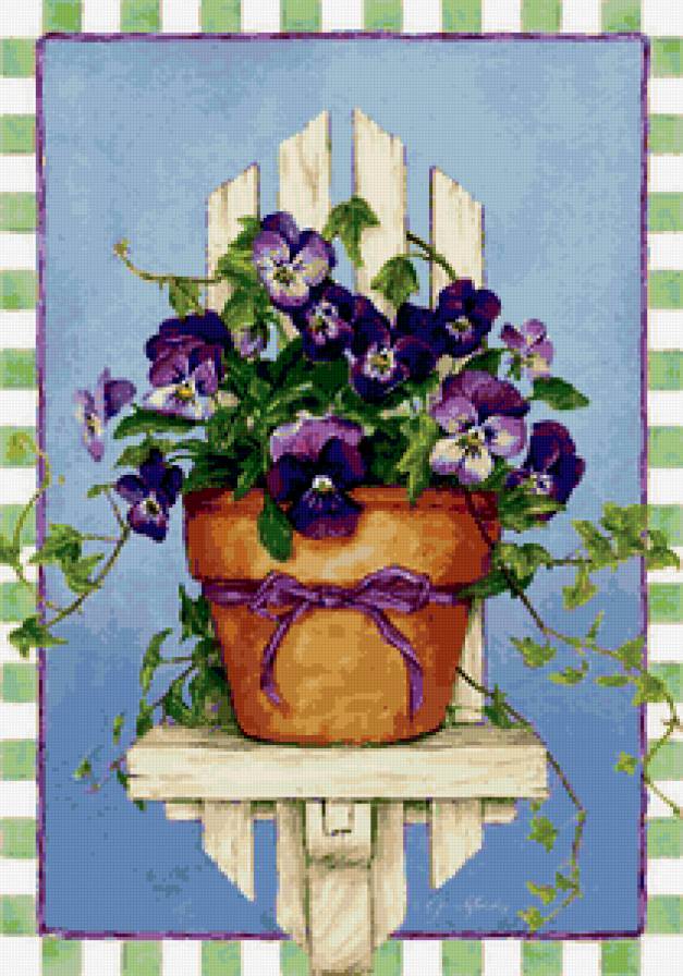 фиалки - предпросмотр