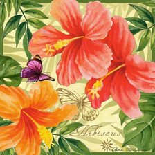 Схема вышивки «Подушка "Гибискусы"»