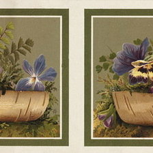 Триптих Цветы 2