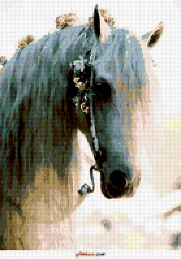 лошадь2 - предпросмотр
