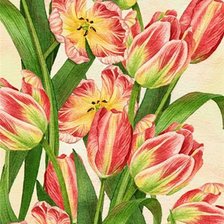 Схема вышивки «тюльпаны»