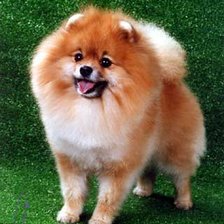 Схема вышивки «№396100»