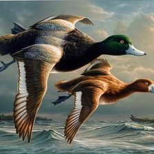 Схема вышивки «№396162»