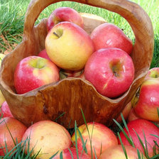 Схема вышивки «№396206»