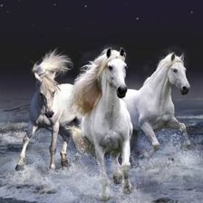 Схема вышивки «Кони»