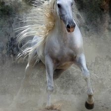 Схема вышивки «лошадь»