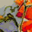 Предпросмотр схемы вышивки «маки» (№396632)
