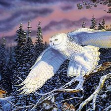 Схема вышивки «Сова»