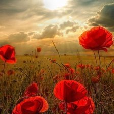 Схема вышивки «№396744»