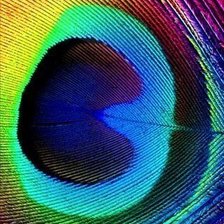 Схема вышивки «перо»