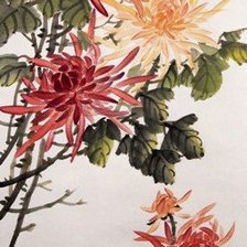 Схема вышивки «хризантемы»