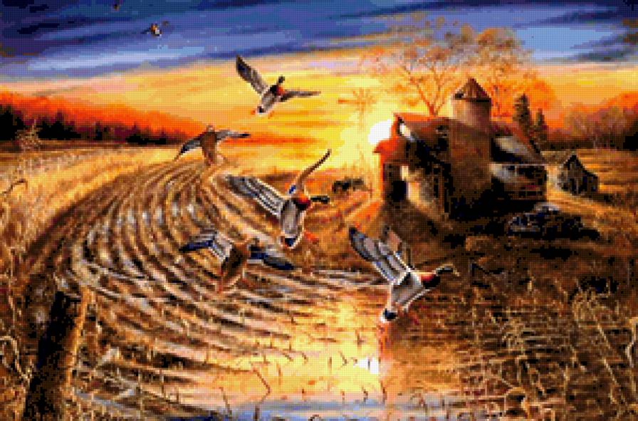 №396796 - птицы, дикая природа, охота, олени, медведи, утки, орлы, волки - предпросмотр