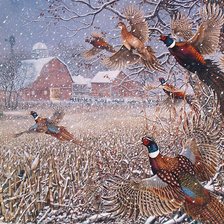 Схема вышивки «№396799»