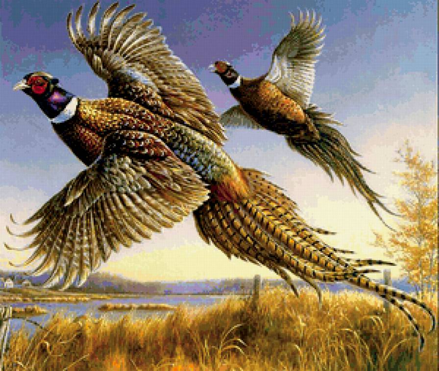 №396805 - орлы, охота, олени, волки, утки, медведи, птицы, дикая природа - предпросмотр