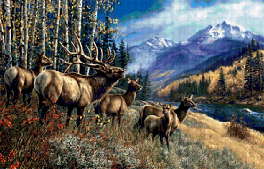 №396829 - птицы, утки, орлы, дикая природа, охота, олени, медведи, волки - предпросмотр