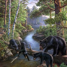 Схема вышивки «№396857»